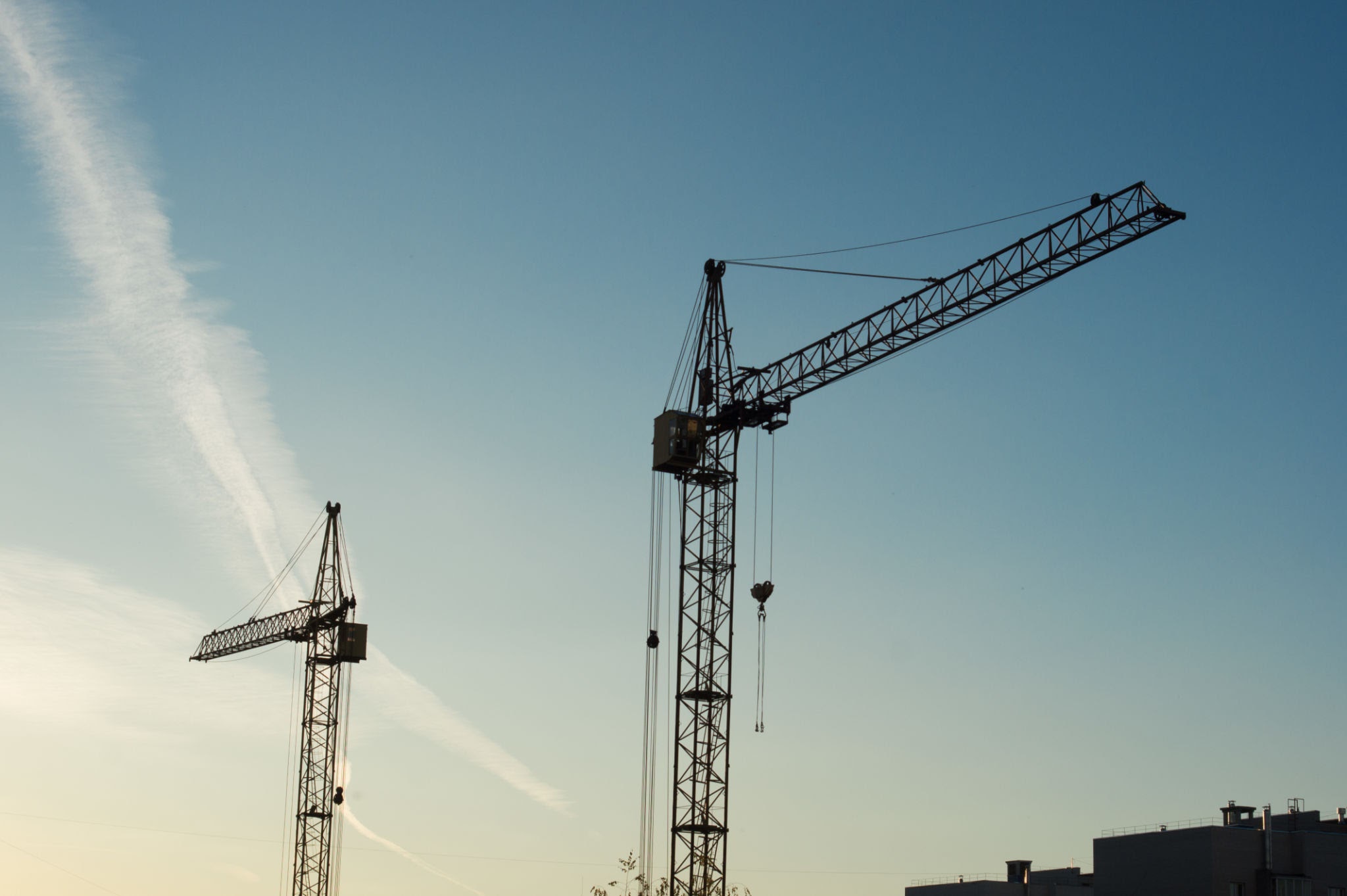 Industrial Crane in Raipur